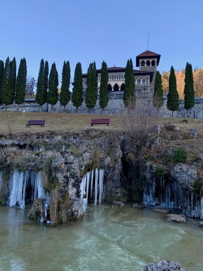 Castelul Cantacuzino Buşteni Exterior foto